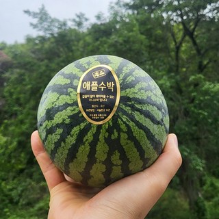 산지직송 프리미엄 고당도 애플수박, 1개, 애플수박 2통 (통당 1.2-1.3kg 내외)