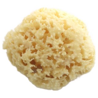 [건조클립증정] 그리스산 라그랑 천연해면 스펀지 - XL SIZE