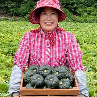 [당도최고등급] 할망네농장 제주산지직송 보우짱 미니밤호박, 1박스, 미니밤호박 3kg