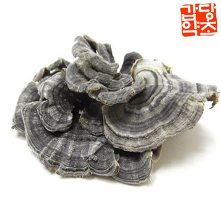 국내산 운지버섯 (구름버섯) 300g, 2팩 국내산 운지버섯 (구름버섯) 300g, 2팩