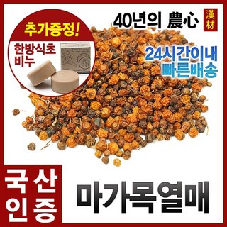 자애인 국산 마가목 열매 300g – 정공목 열매 마가자 정공실, 1개 자애인 국산 마가목 열매 300g – 정공목 열매 마가자 정공실, 1개