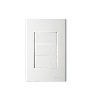 진흥 3구 1로 스위치, 1개