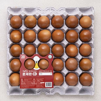 훈제계란기계 정보-추천-상품
