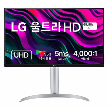 lg4k모니터 내돈내산-추천-상품