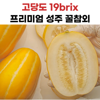 참외5kg 내돈내산-추천-상품