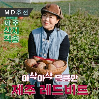 2024 최신 올킬비트 가격 추천 순위 BEST 7-추천-상품