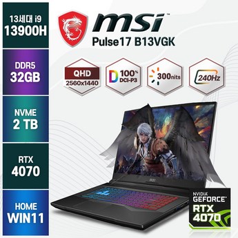 MSI Pulse 17 B13VGK-i9-추천-상품