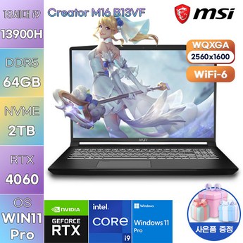 MSI 크리에이터  M16 B13VF-추천-상품