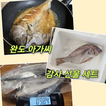 반건조 민어 특대 4미-추천-상품