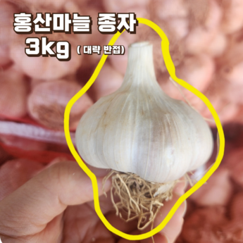 si-추천-상품