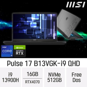 MSI Pulse 17 B13VGK-i9-추천-상품