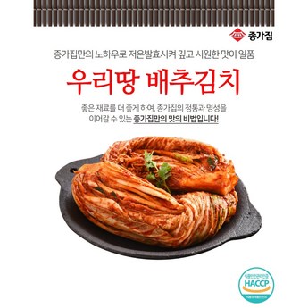 종가집김치태백 내돈내산-추천-상품