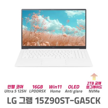 LG전자 15Z90ST-GA5CK-추천-상품