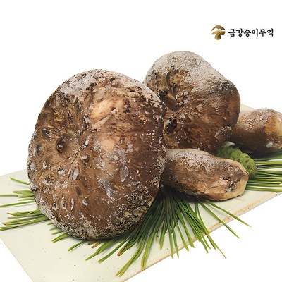 [금강송이무역] 자연산 능이버섯 냉동 [특품], 1kg(A급, 냉동, 7~10 cm), 1개_