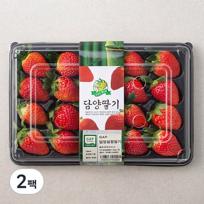  GAP 인증 담양 설향딸기, 550g, 2팩 