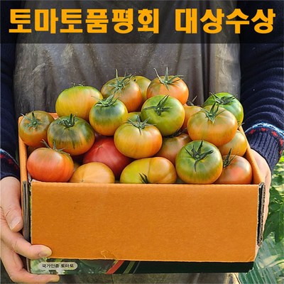품평회 대상 받은 대저 짭짤이 토마토 2.5kg 로얄과 짭짜리 짭잘이 산지직송, 짭짤이토마토 (로얄과 S)