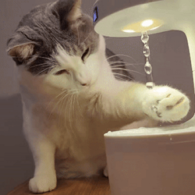 무중력 가습기 물멍 고양이 강아지 LED 역중력 반중력 물방울 선물 800ml 대용량, D.화이트