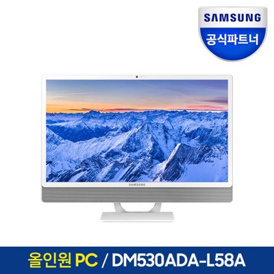 삼성전자 일체형PC DM530ADA-L58A 데스크탑 올인원PC WIN11 포함, RAM 16GB + SSD 256GB + HDD 1TB