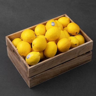 SK 칠레산 레몬