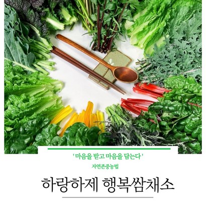 A]봄기운 듬뿍]18종이상 모듬쌈채소 샐러드 / 당일수확 당일배송 리뷰 후기