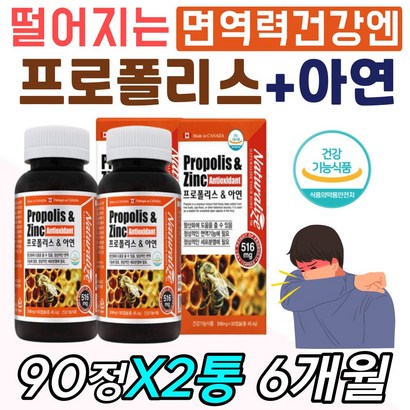 식약처인증 면역력높이는영양제 플로 프로 폴리스 알 피세틴 플라보노이드 슈퍼푸드 꿀벌 벌꿀 벌집 허니 비 bee 입술 입안 입속 구강 비강 코 목구멍 목건강 아연 영양제 부모님 선물