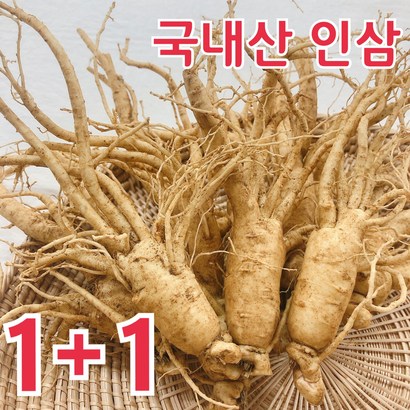 [] 금산 인삼 바른인삼 6년근 5년근 난발삼