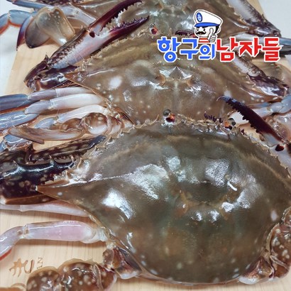 [신선상회] 숫꽃게 리뷰후기