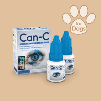(국내발송) Can-C 강아지 Eye Drops 5ml X 2ea / Can-c / 강아지 백내장 / 강아지 안약 / 강아지 눈 혼탁 / Can-C 안약 / 캔씨 / 캔씨 안약, 1팩
