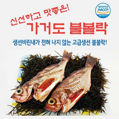 가거도 불볼락 불볼락( 특대 2마리 ), 기본선택, 2개