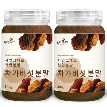 동의한재 최상품 러시아 차가버섯 분말 가루, 2개, 300g