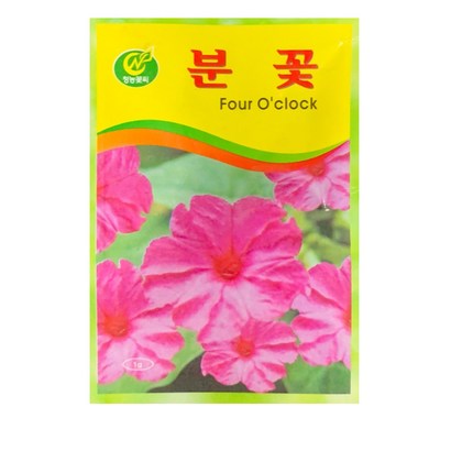 중앙꽃씨 분꽃