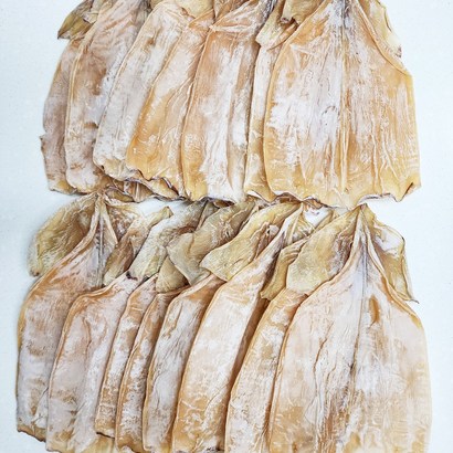 건어물천국 마른오징어 몸통 1kg 특상품 건오징어, 13개