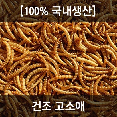 [국산/베타카로틴E ] 건조 고소애 고단백 농장주직접