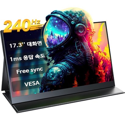 에비크 240Hz 17.3인치 포터블 DEX 휴대용 모니터 게임용 HDR, 43.94cm