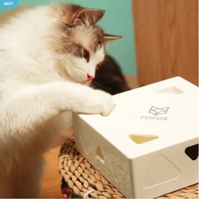 켈리홈데코 포포스 캣매직박스 로봇 자동 장난감 셀프 깃털사냥