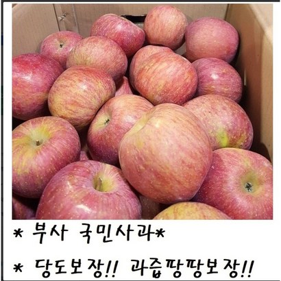 맛 보장!! 과즙팡팡 보장!! 산지직송 고당도 청송 부사 사과 //