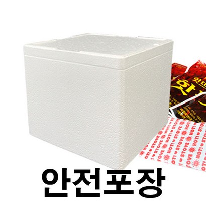 통통 밀웜 11