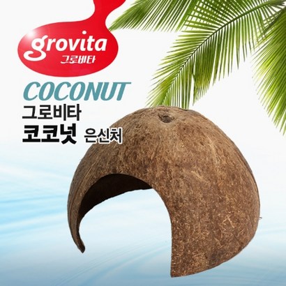 그로비타 코코넛 은신처  소라게은신처 새우 가재