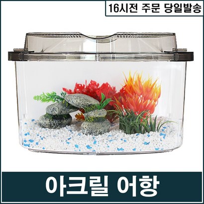 [TS] 아크릴어항 리뷰 후기