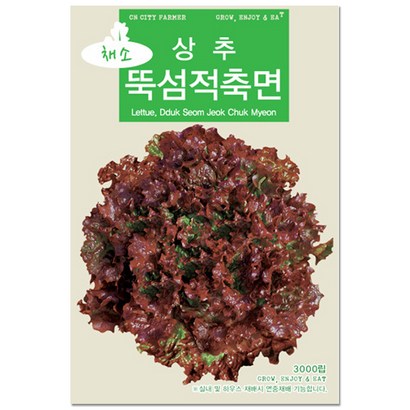 청농종묘 쑥갓 씨앗 4000립 - 채소씨앗 쑥갓씨 쑥갓씨앗