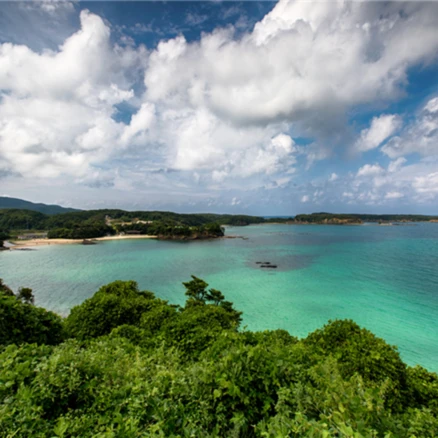 [히타카츠] #모두투어 ★출발확정★ 대마도 당일투어 (버스+중식+가이드 동반) #대아고속 #BJC650SFJ2