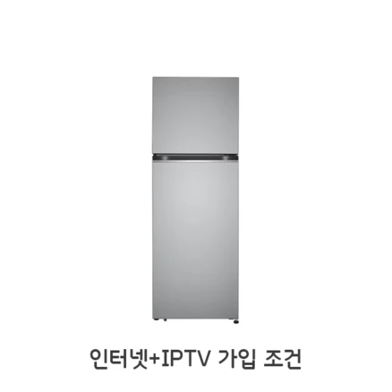 LG전자 2도어 335L 메탈 네이처퓨어 (B332S34)