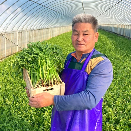 지하암반수로 기른 청정 청도미나리 2KG, 1개