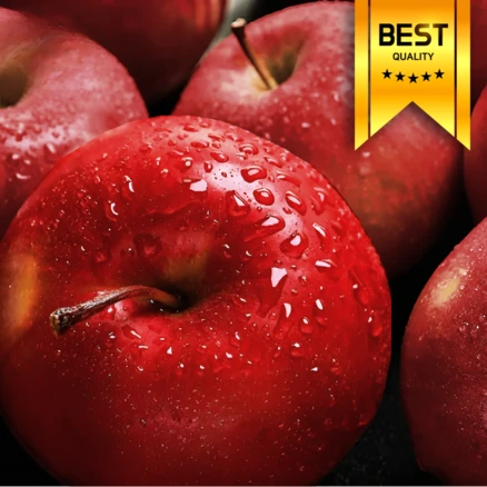 [3차앵콜오픈] 15brix명품선별 산지직송 청송사과 부사사과, 1개, 로얄가정용 2kg(7과내외)