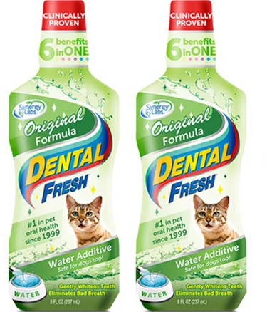 덴탈후레쉬 오리지날 고양이 구강청결제, 237ml, 2개