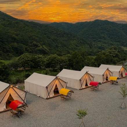 [가평군] 자작나무글램핑