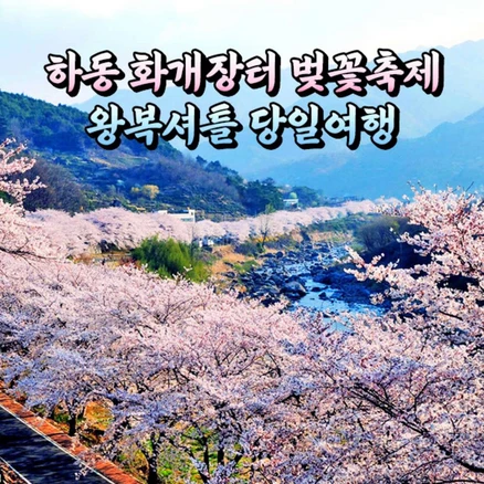 [경남] 하동 화개장터 벚꽃축제(쌍계사 십리벚꽃길/혼례길) 당일여행 / 봄꽃축제 / 서울경기出