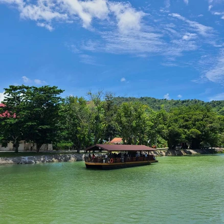 [필리핀] [보홀] 스타인 핵심 데이 육상 투어 (로복강선상식, 초코릿힐, 안경원숭이, 맨메이드숲)