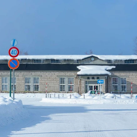 [북해도] [필름사진] 북해도 1호선 버스투어 삿포로 비에이 후라노 훗카이도 일일버스투어 와쿠와쿠