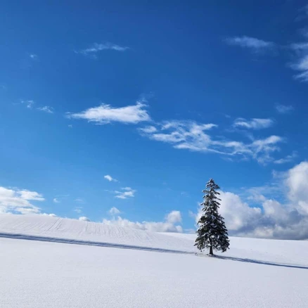 [북해도] 비에이 버스투어
